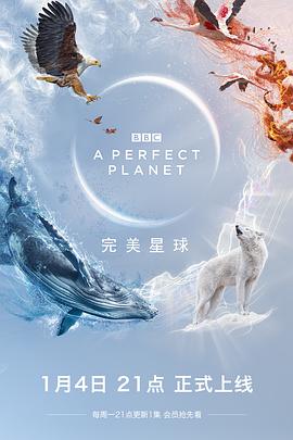 完美星球}