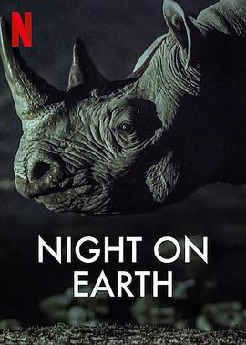 地球的夜晚}